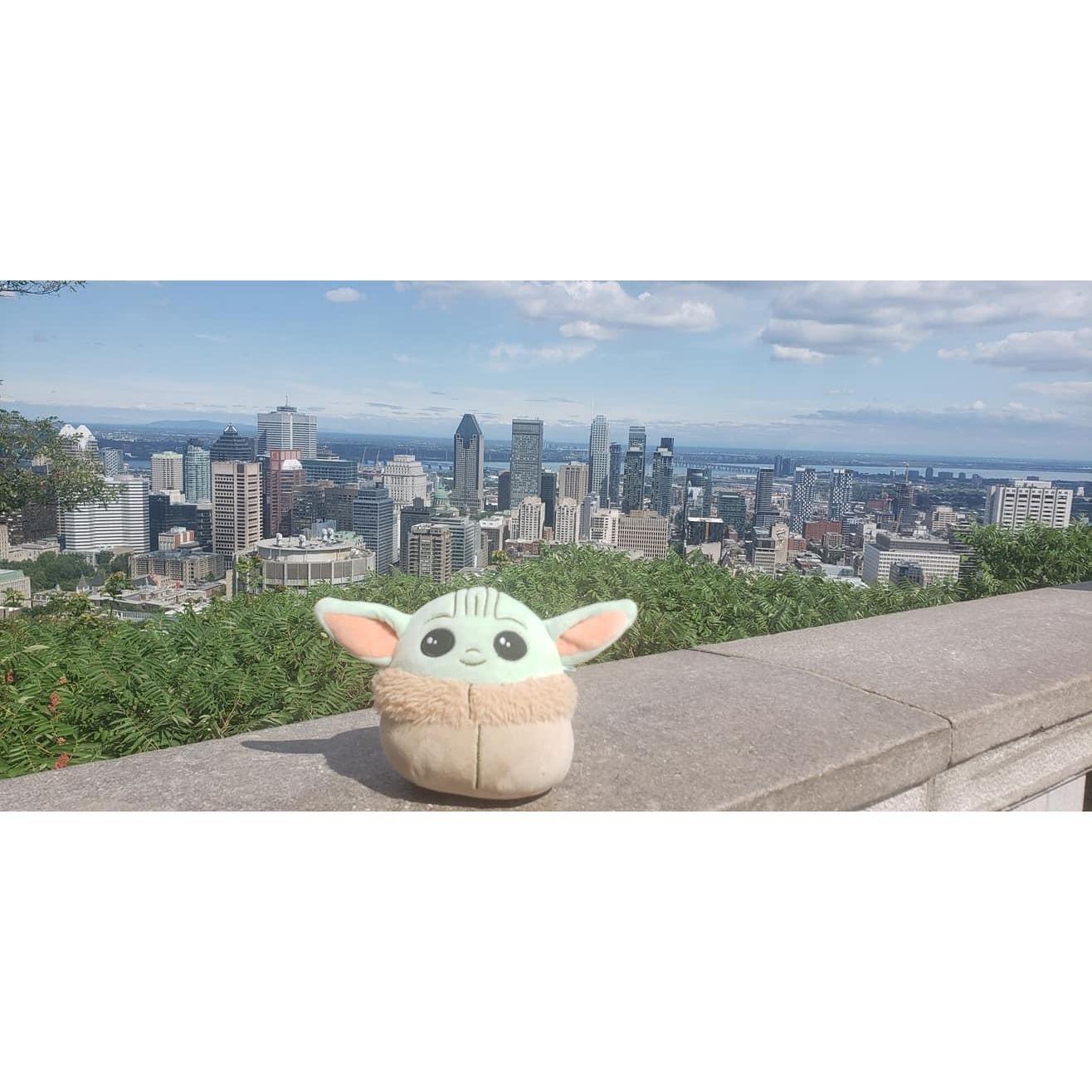 Baby Grogu may or may not be our fake child. He is.