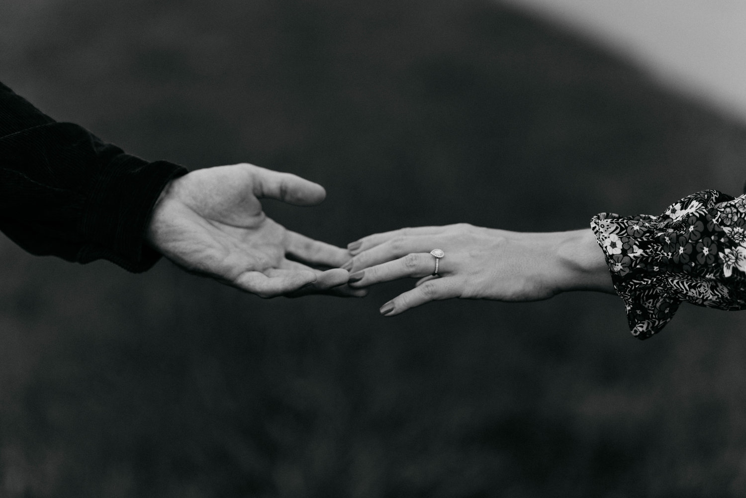 The Wedding Website of Courtney Middleton and Steven Dobson