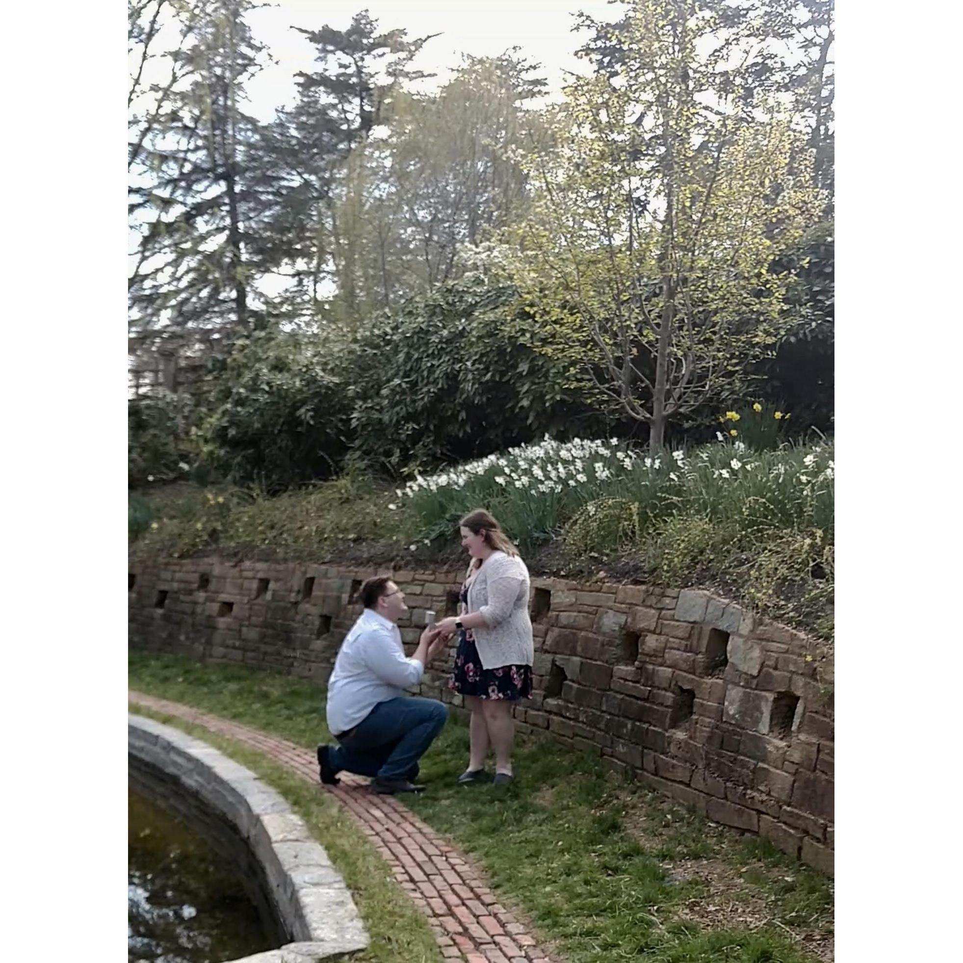After a beautiful day at the Cherry Blossom Festival in Washington D.C., Jack insisted on visiting Dumbarton Oaks Gardens where he proposed on April 6, 2019!
