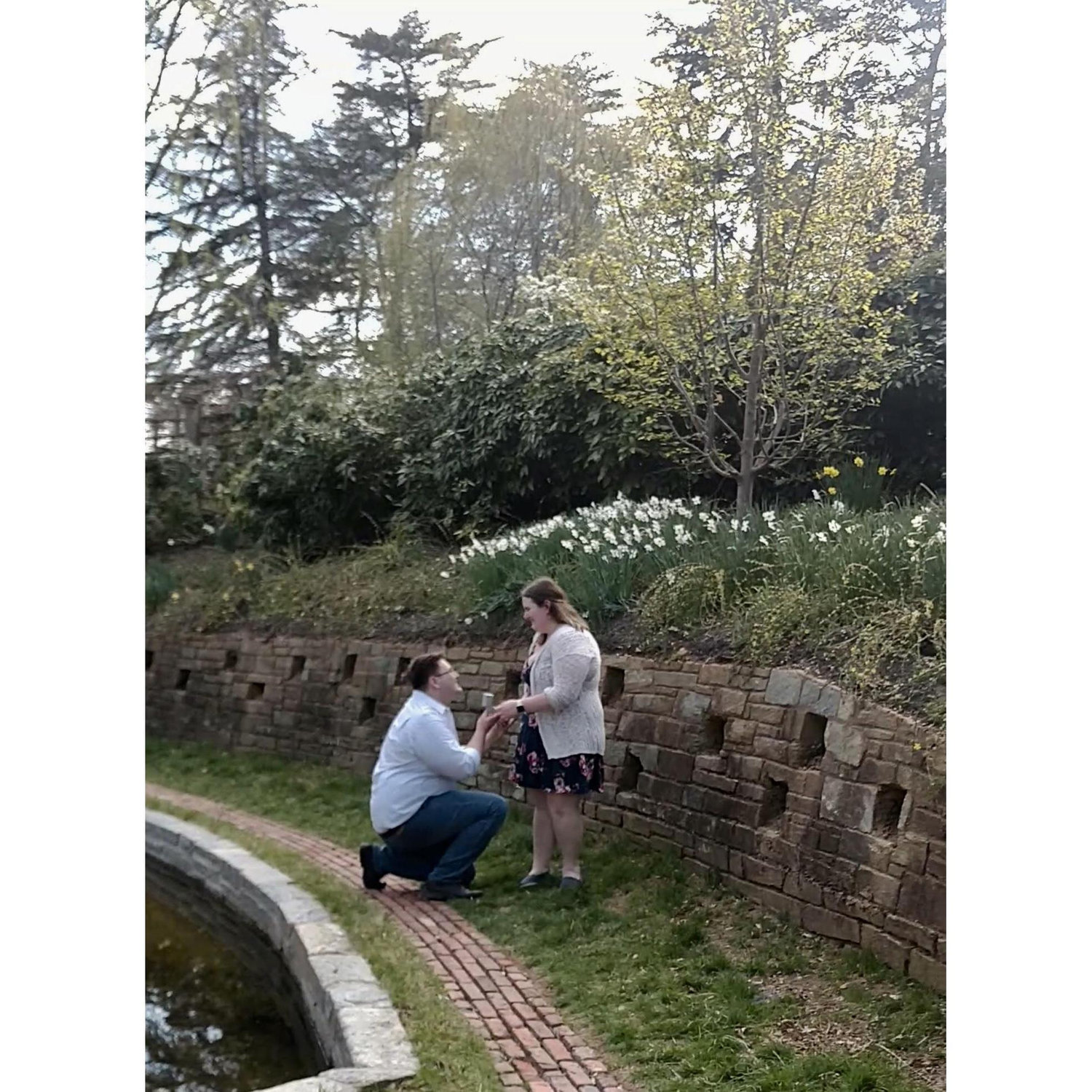 After a beautiful day at the Cherry Blossom Festival in Washington D.C., Jack insisted on visiting Dumbarton Oaks Gardens where he proposed on April 6, 2019!
