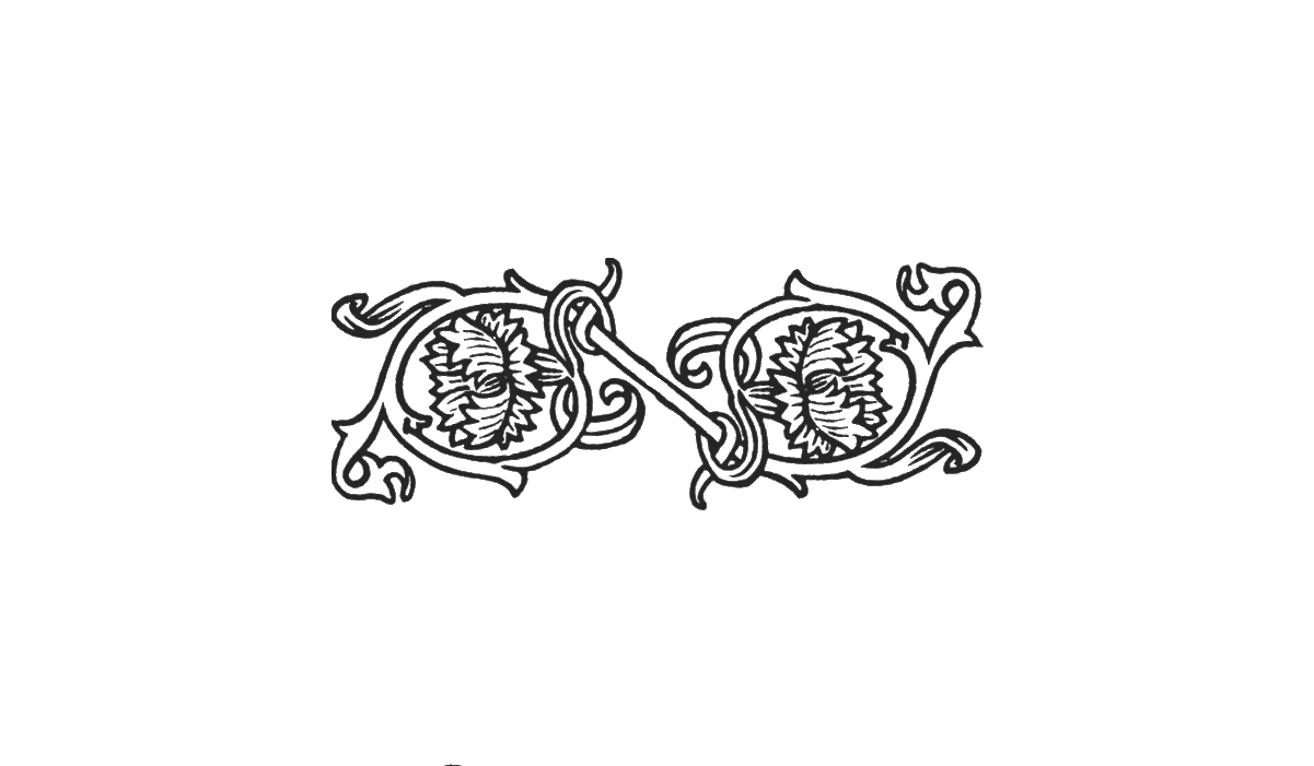 Footer image