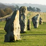 Avebury Stones