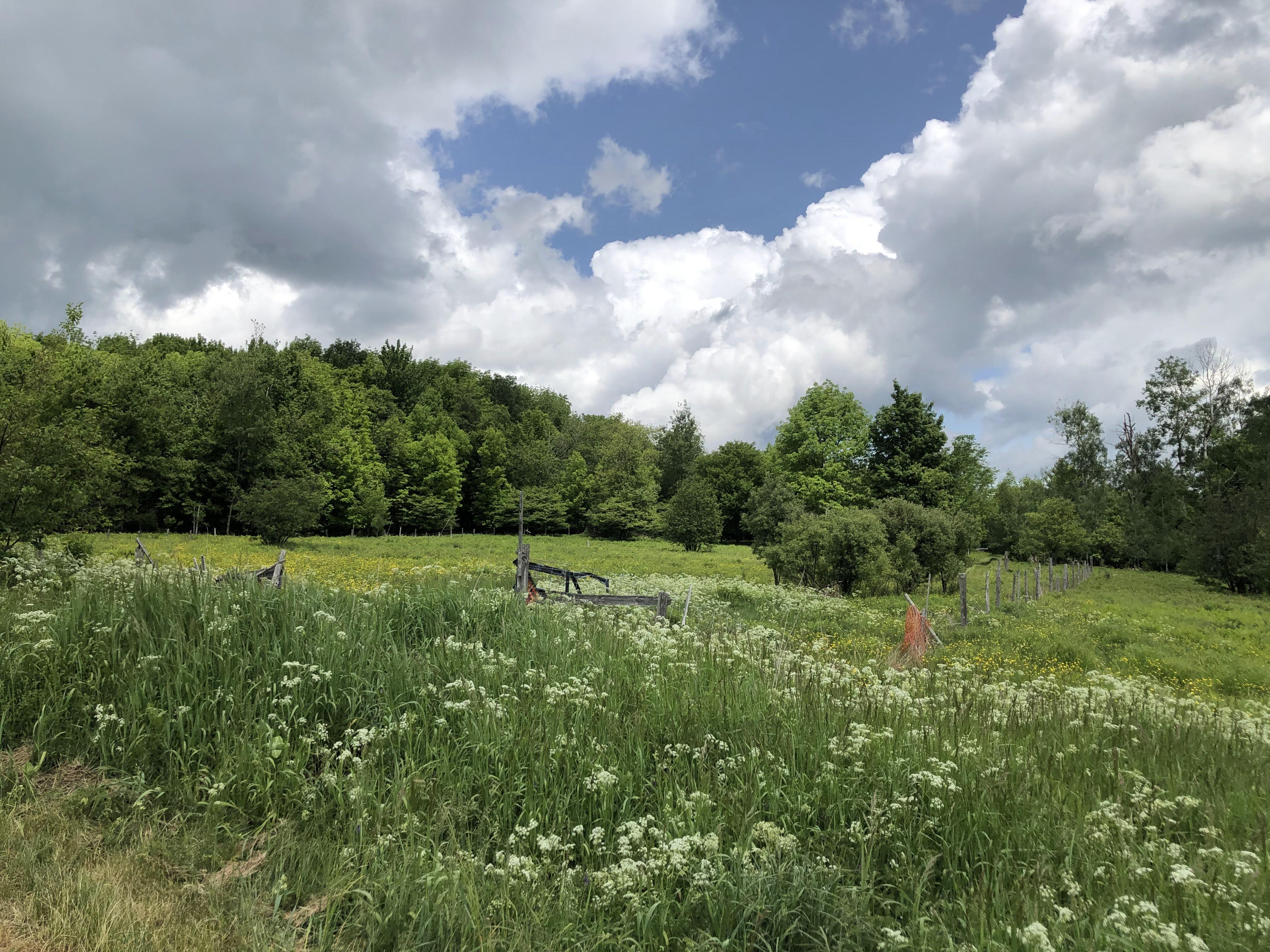 The Wedding Website of Hannah Stasko and Rudy Martinez