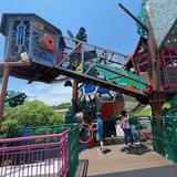 Creative Discovery Museum