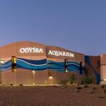 OdySea Aquarium