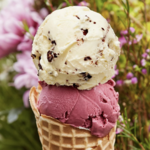 Salt & Straw