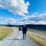 Mountain Brook Vineyards