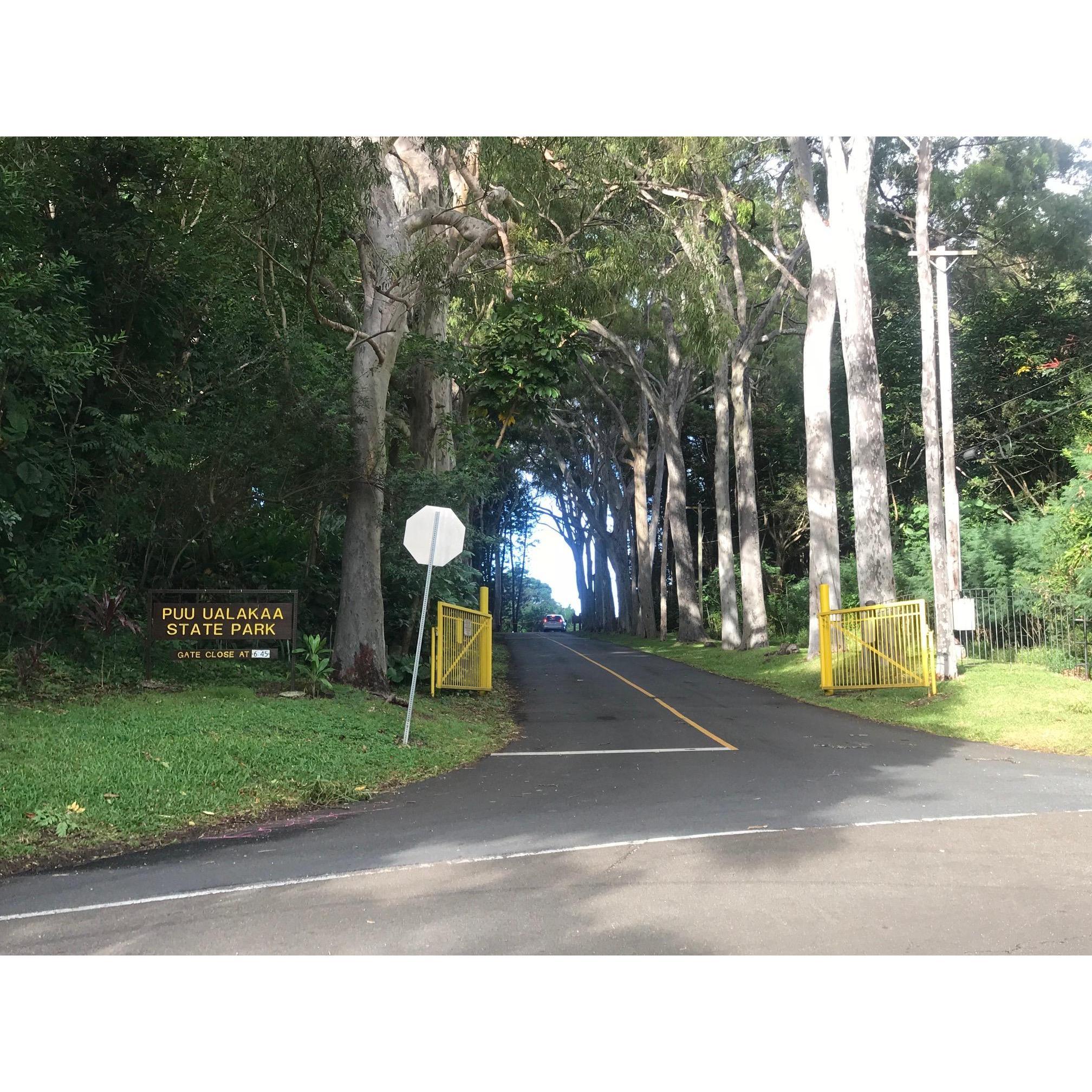 Entrance of Puu Ualakaa State Park up Tantilus- entrance of the Nutridge Estate is 300 feet straight up the hill