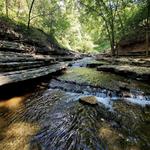 Tanyard Creek Nature Trail