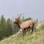 Rocky Mountain National Park