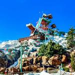 Disney's Blizzard Beach Water Park