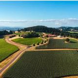 Visit Domaine Serene Winery