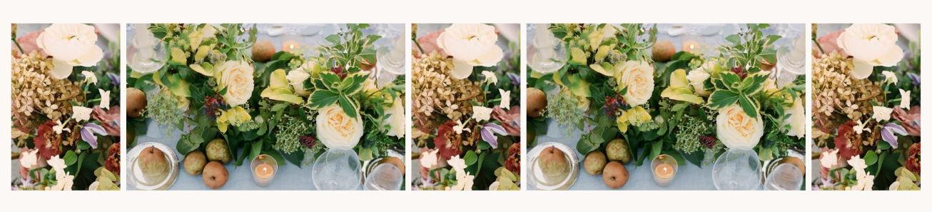 The Wedding Website of Julia Curley and Stephen Fitzgerald