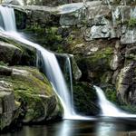 Enders State Forest