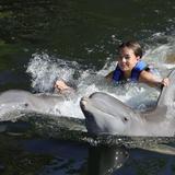 Swim with Dolphins