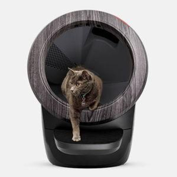 Litter-Robot® 4 (White)