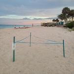 Walk the Beach (look for turtle nests)