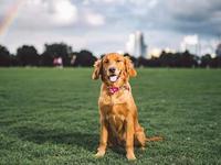 Zilker Metropolitan Park