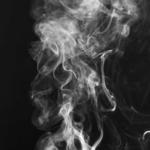 Wild Herb Wellness LLC