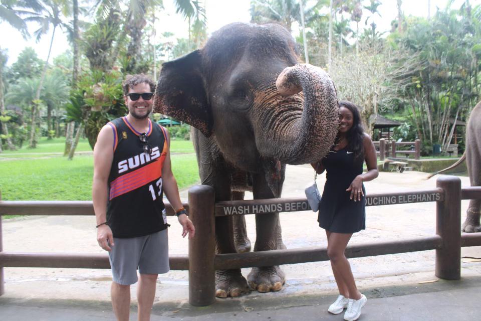 Elephant time!