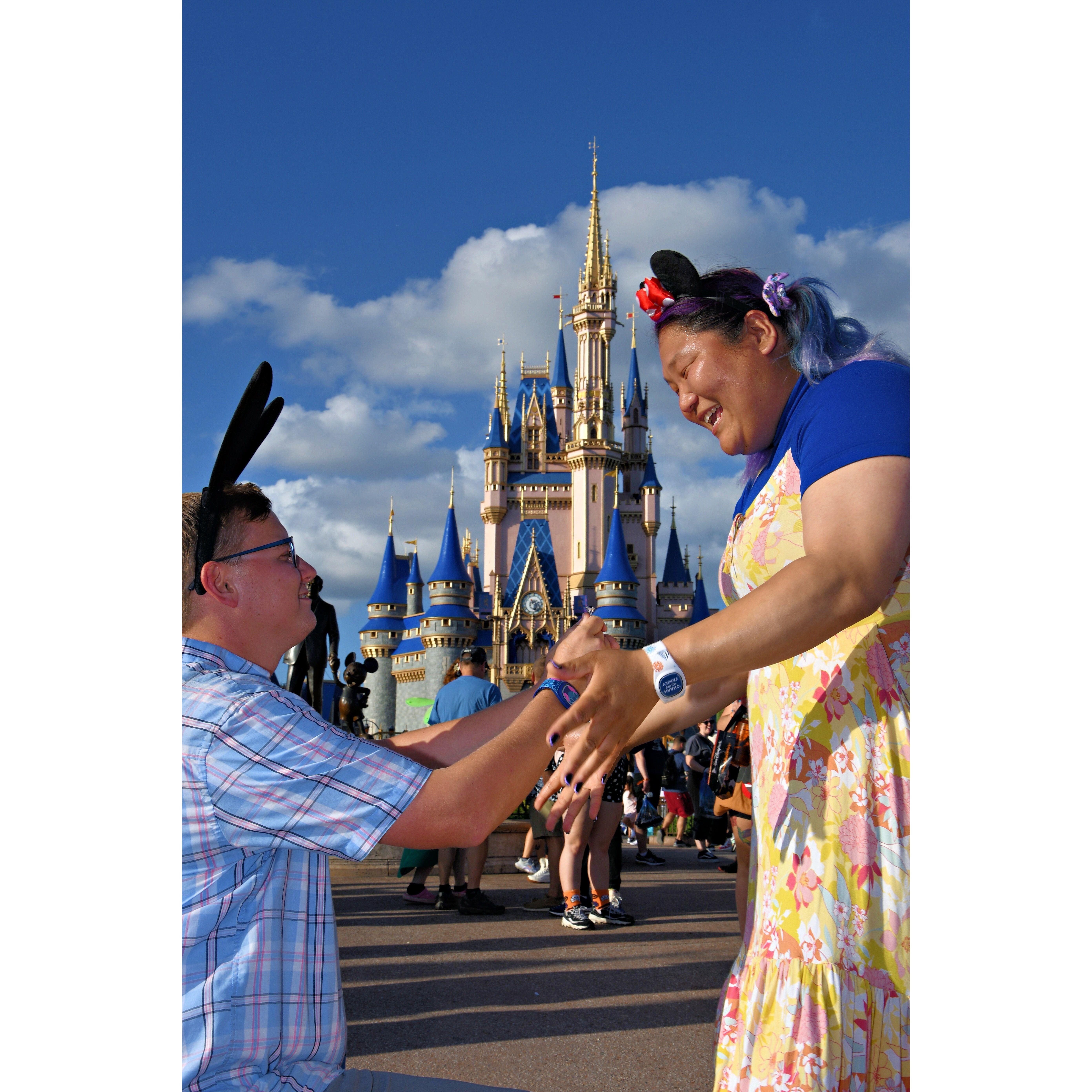 To which he patiently waited and said " So are you saying No?"
And I Shout " IM SAYING YES"
GARSH- it was splendid. Surreal. So special and so exciting.
Just about perfect for me.