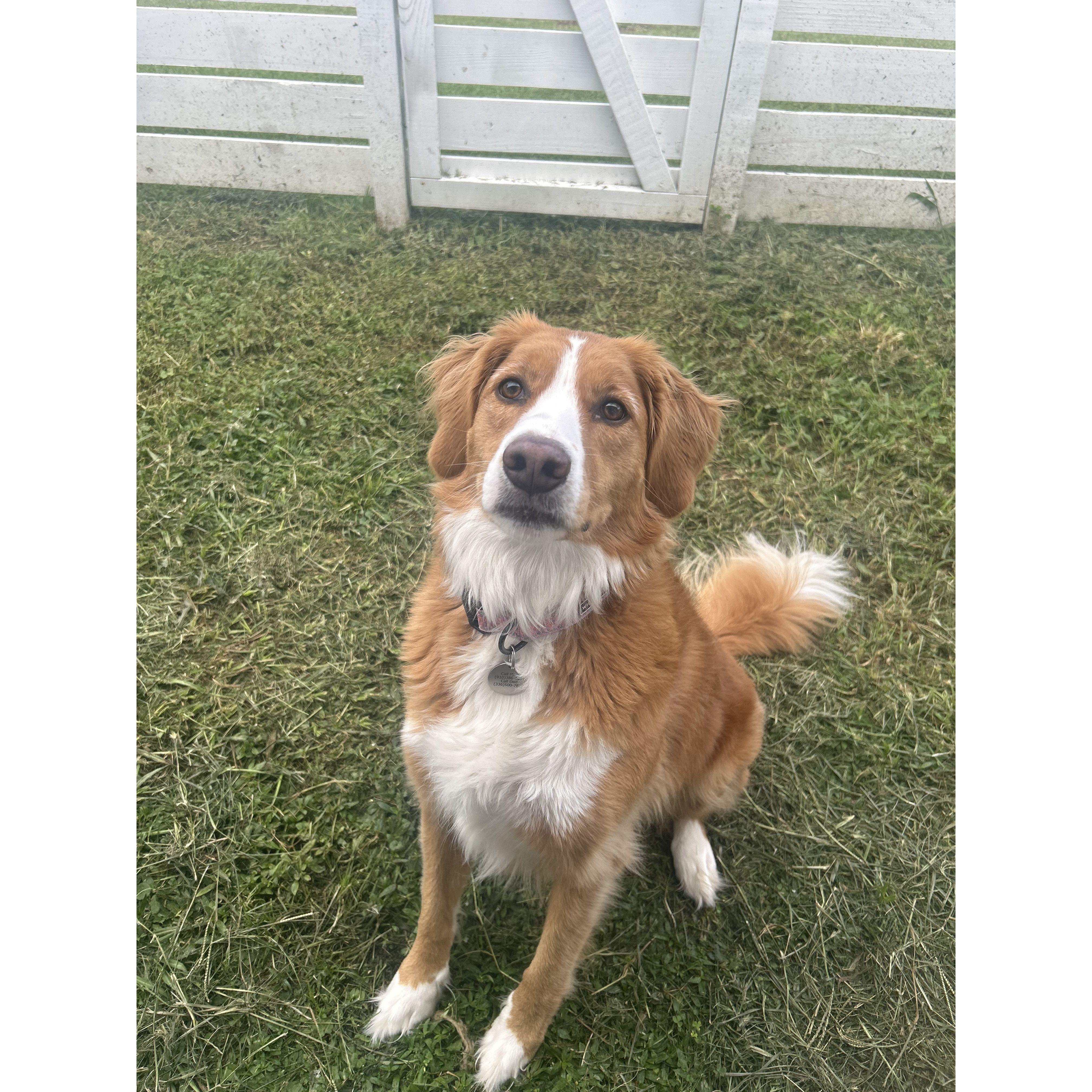 Ladson was 3 when Winston met her.