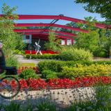 Art Galleries & Saugatuck Center for the Arts