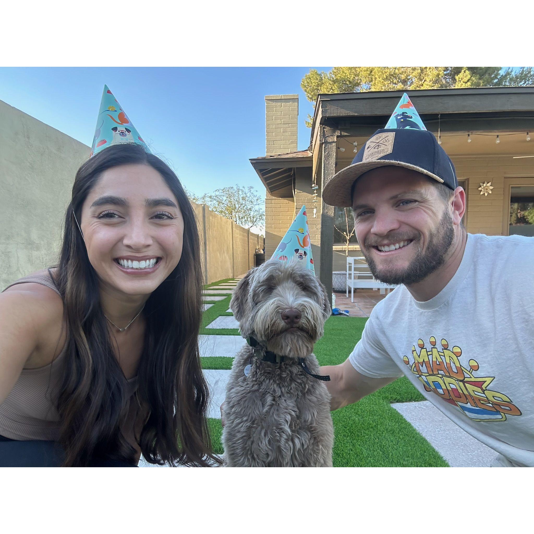 Waffles 2nd birthday 🥳