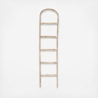 Bamboo Ladder