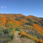 Walker Canyon Trailhead