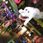 The Max Retropub