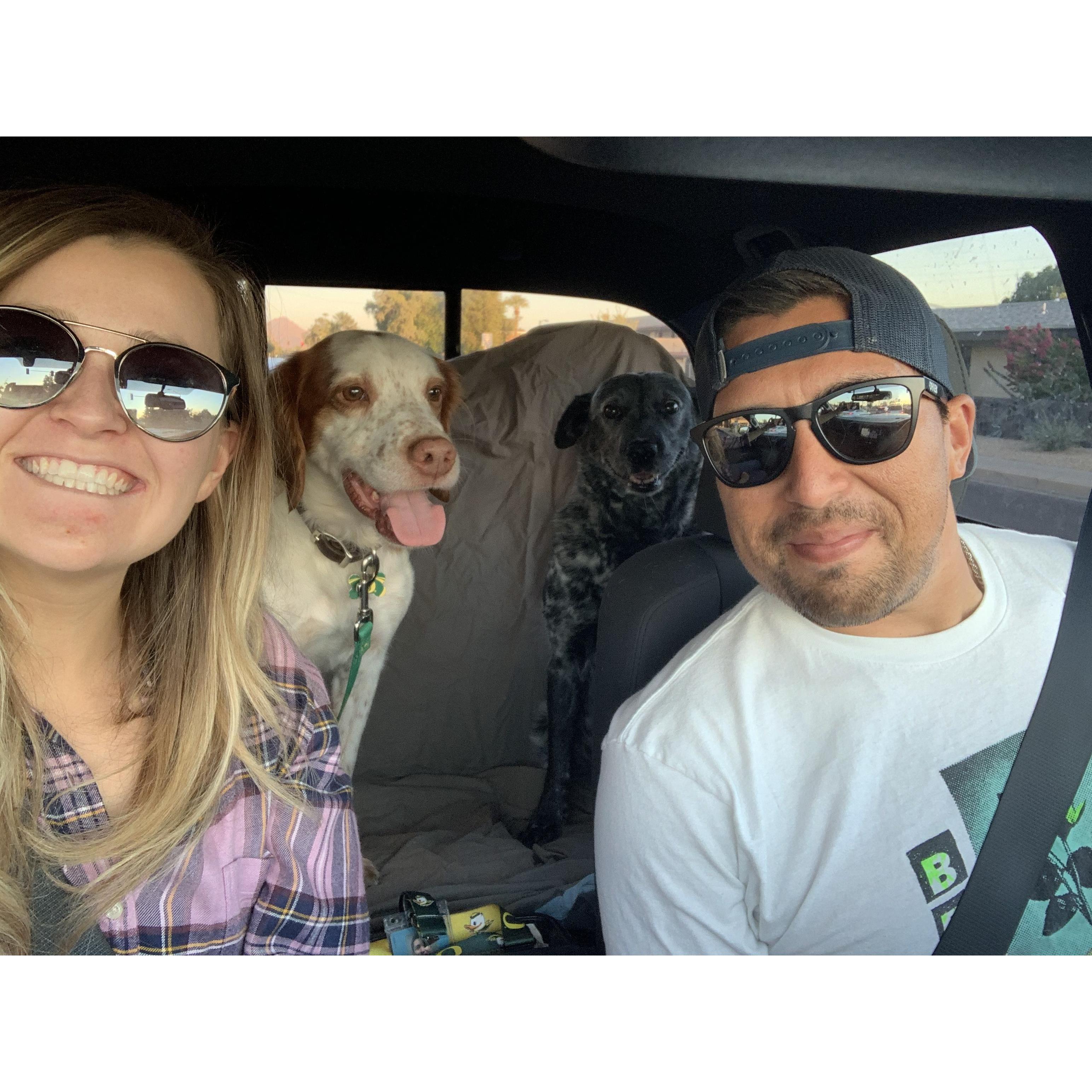 Too many quarantine road trips... always with the adventure buddies in tow.