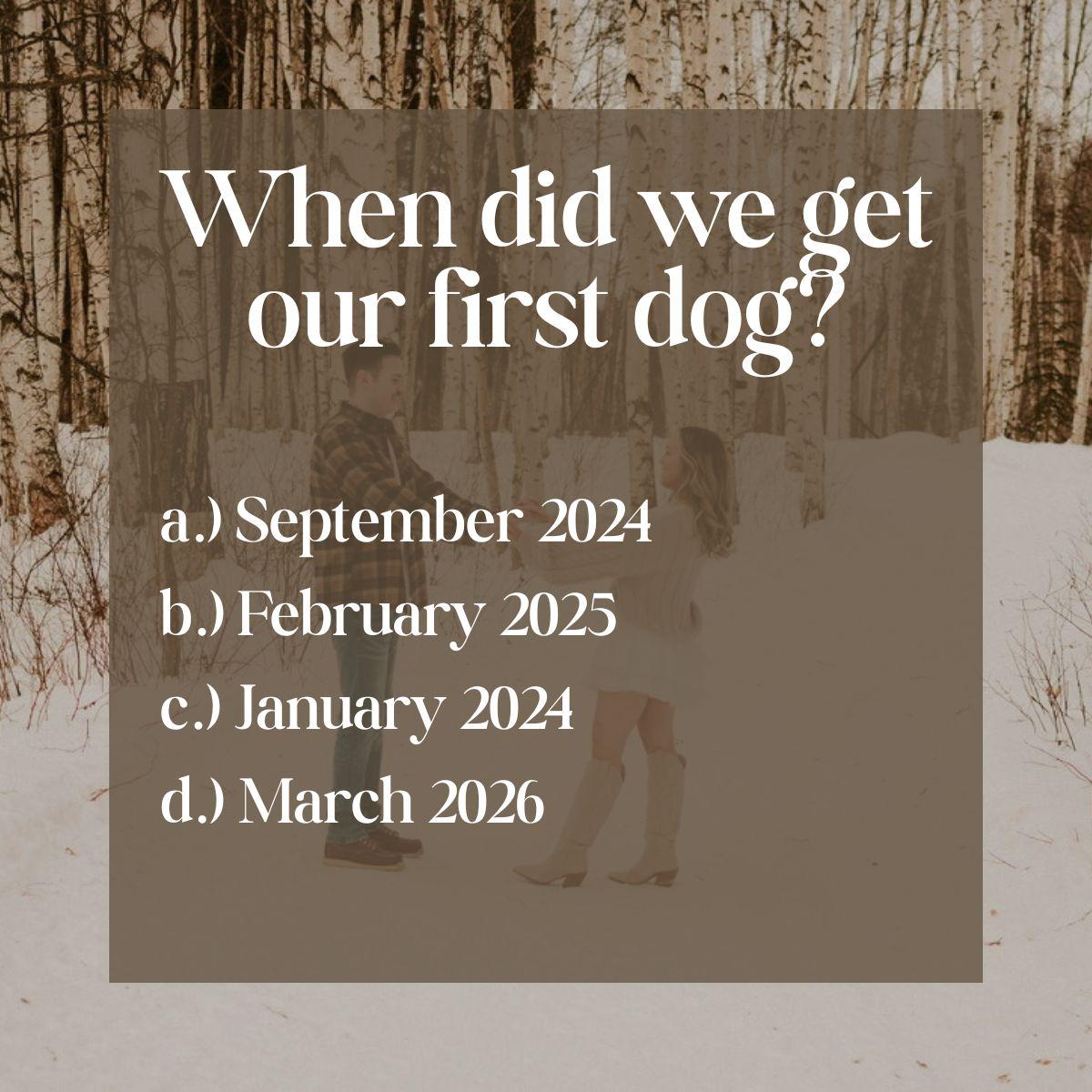 c.) We adopted Wrigley January 22, 2024! Gunnar joined our family on September 1st 2024, and sweet Palmer completed the trifecta on April 12th, 2025!