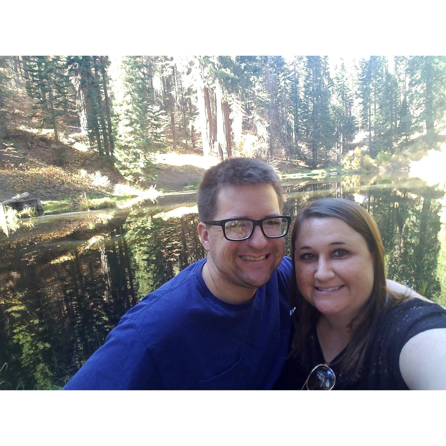 Day trip to Sequoia National Forrest