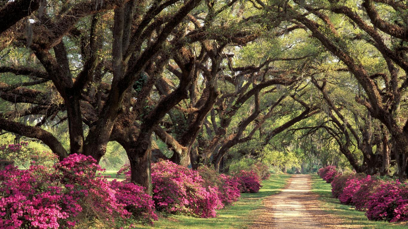 The Wedding Website of Kennedy Carruth and Colton McAlpin