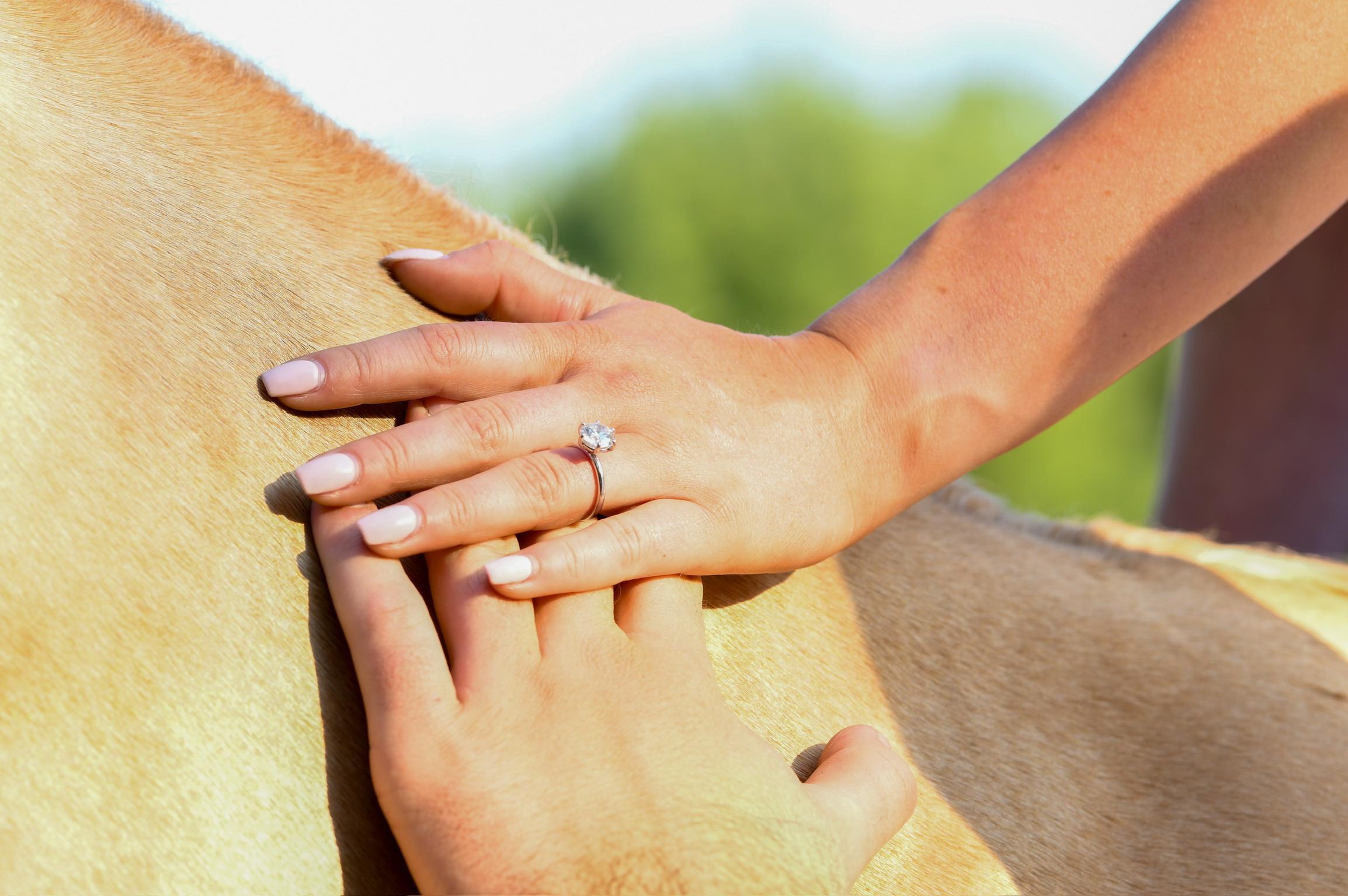The Wedding Website of Kathryn Kilcommons and Jake O'Connor
