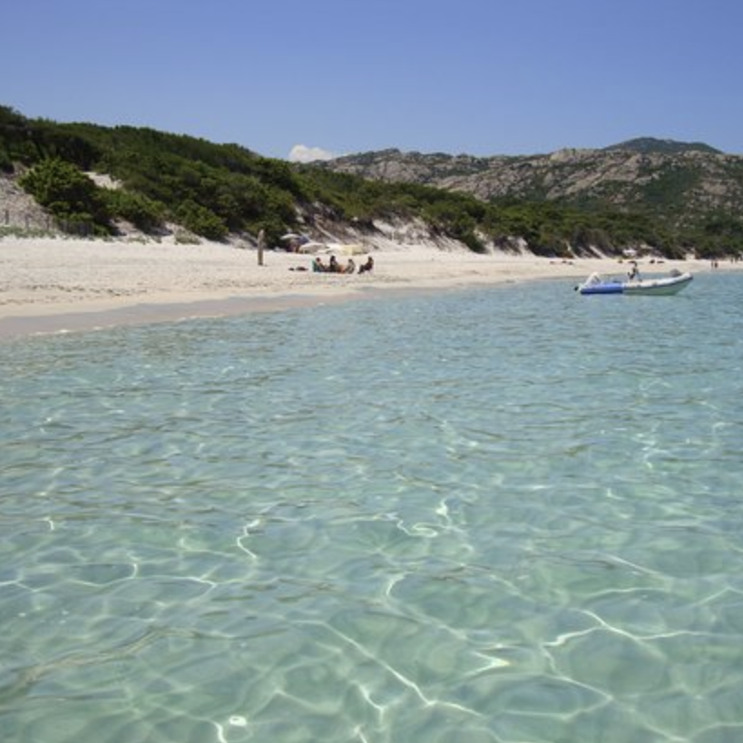 Saleccia
