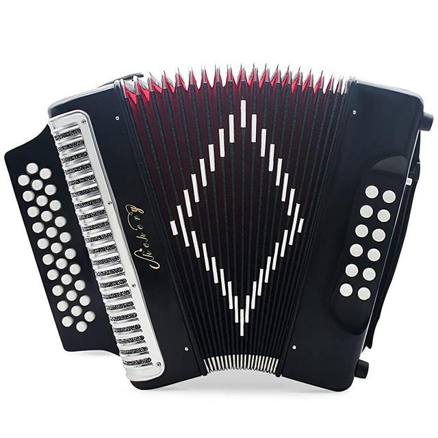 Chehery 31-Key Diatonic Accordion , 12 Bass, G/C/F , Accordion Instruments for Adults With Suitcase , Cleaning Cloth, Straps and Gloves (Silver)