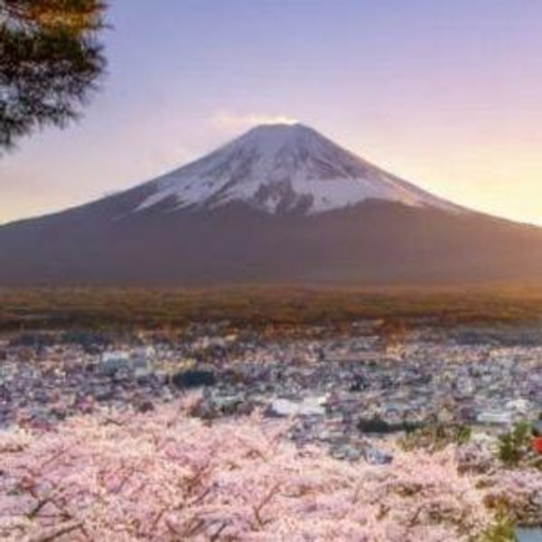 Our Dream Honeymoon