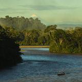 Parque Nacional Yasuní