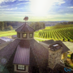 Yonah Mountain Vineyards