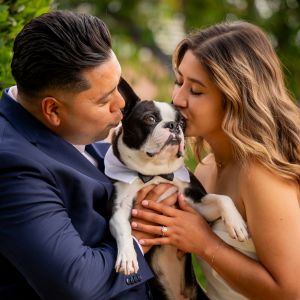 Our Boston Terrier Fund