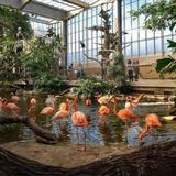 National Aviary