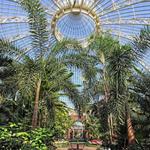 Buffalo Botanical Garden