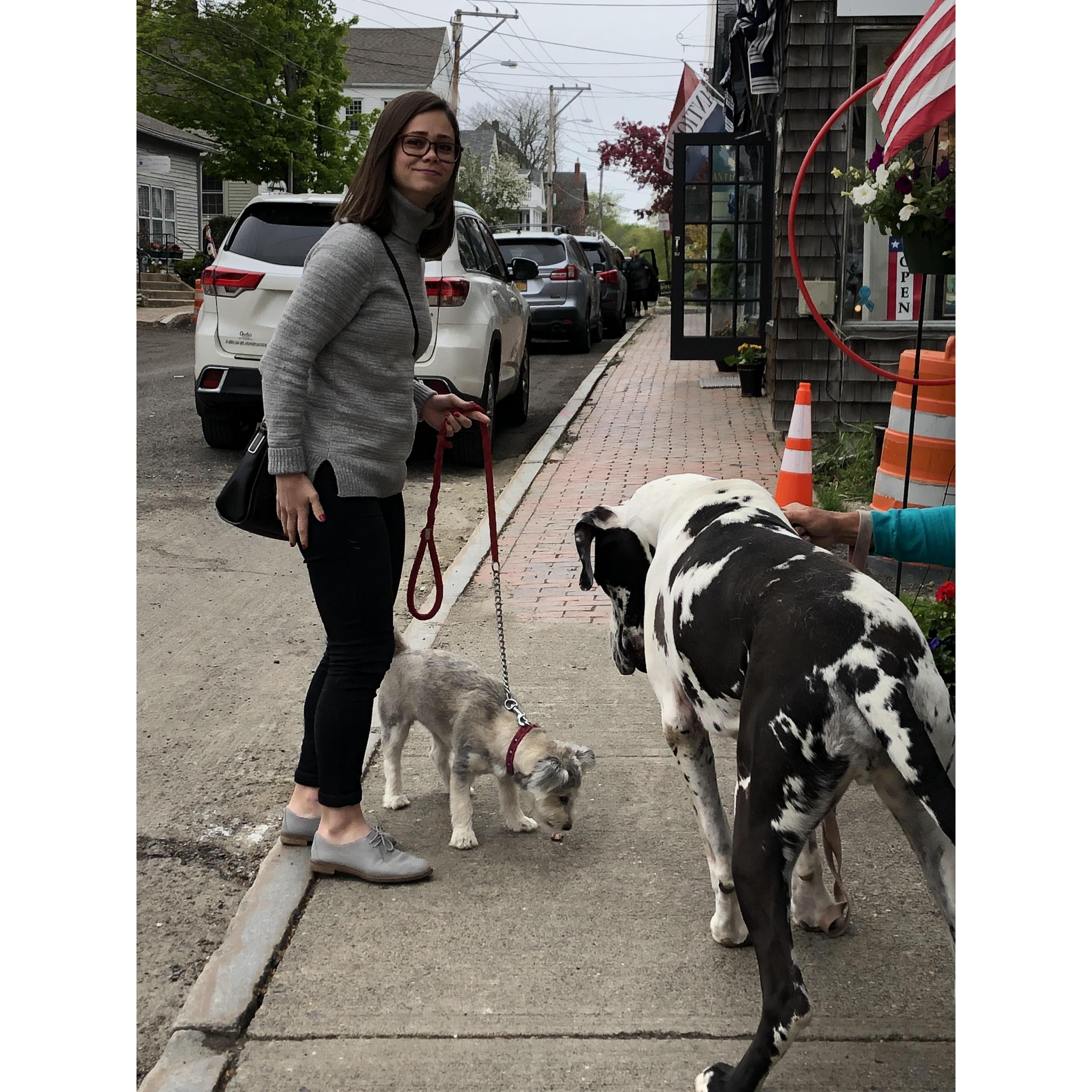 Missy and Pelican making a new friend in front of Red's in Castine. Red's is known for the best lobster roll in Maine! Try their fried scallops too.