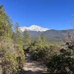 Spring Hill Trail