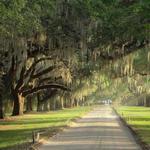 Boone Hall Plantation & Gardens