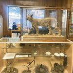 Idyllwild Nature Center