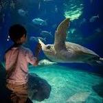 Virginia Aquarium & Marine Science Center