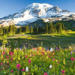 Mount Rainier National Park